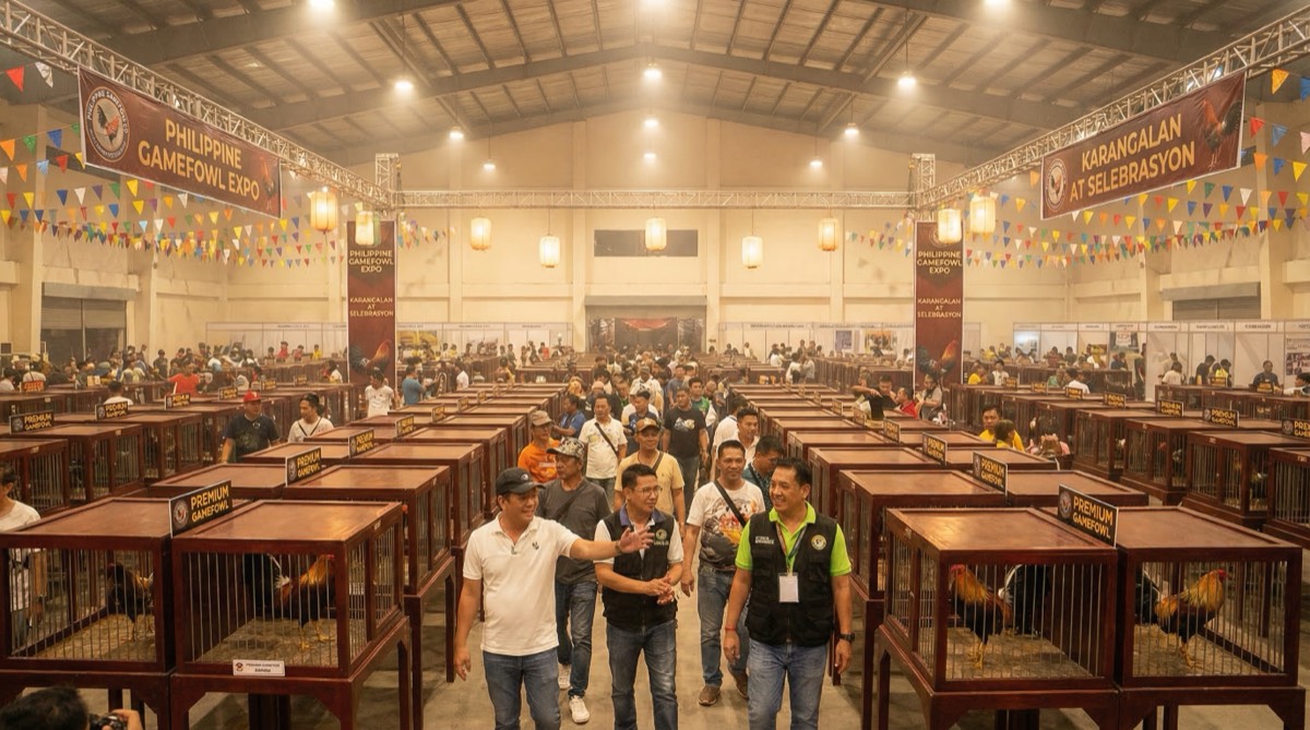 World Gamefowl Expo 2026 Philippines: A Breeder's Guide
